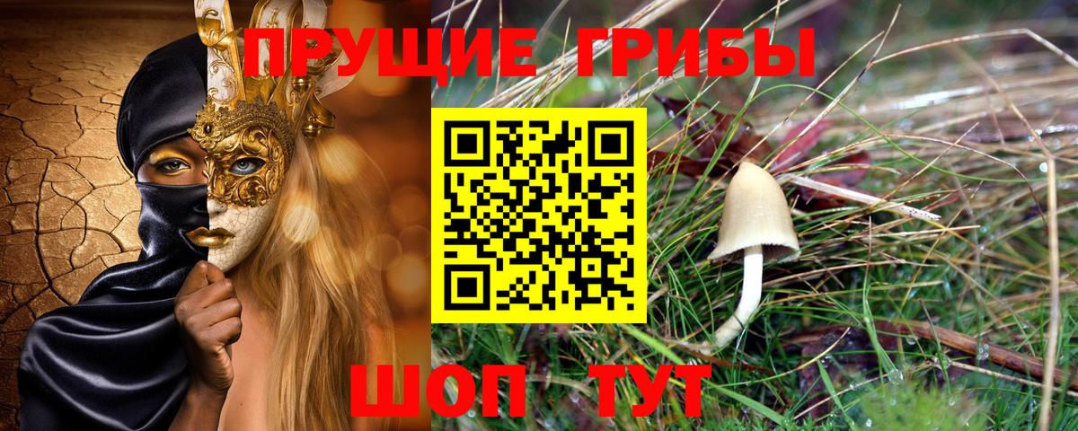 Псилоцибиновые грибы мицелий  Вход с VPN  Приморско-Ахтарск  Галлюциногенные грибы MAGIC MUSHROOMS 