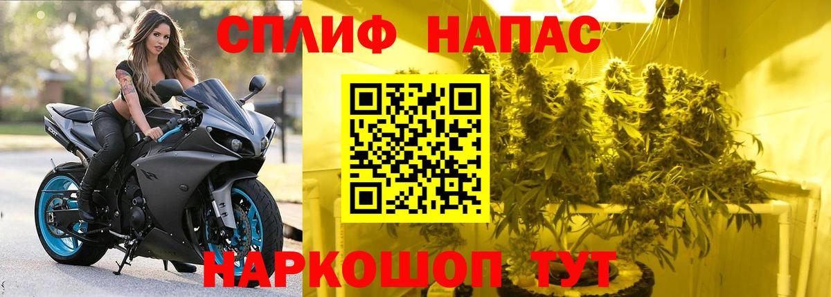 Приморско-Ахтарск  Канабис Amnesia  Канабис Bruce Banner  Вход с VPN  МАРИХУАНА индика 
